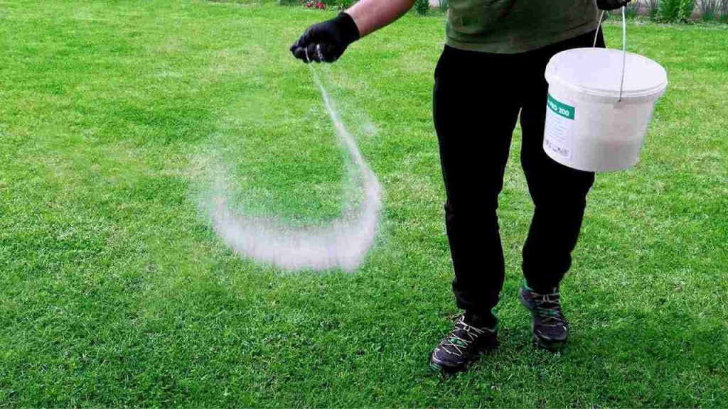 Elimine la maleza de su césped en cuestión de segundos — nunca ha sido tan fácil