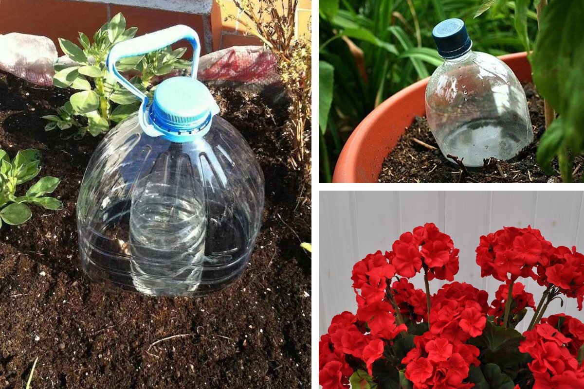 El método perfecto para regar las plantas durante las vacaciones. Para hortalizas, plantas de jardín y plantas en maceta.