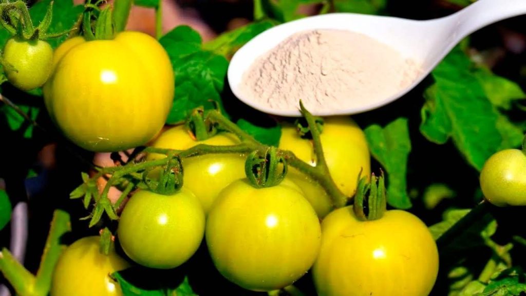 El complemento orgánico más potente para duplicar pepinos, tomates y pimientos.