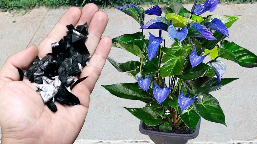 Este antiguo secreto de cultivadores hará que un ramo de flores explote de verdad.