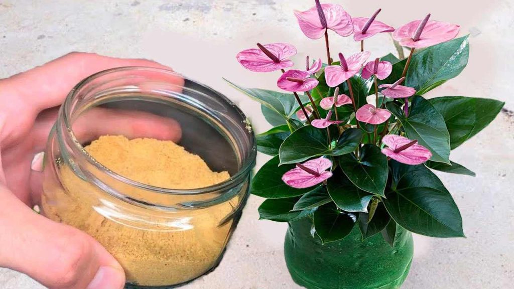 Nunca volverás a usar un fertilizante mejor que este — con 2 ingredientes basta