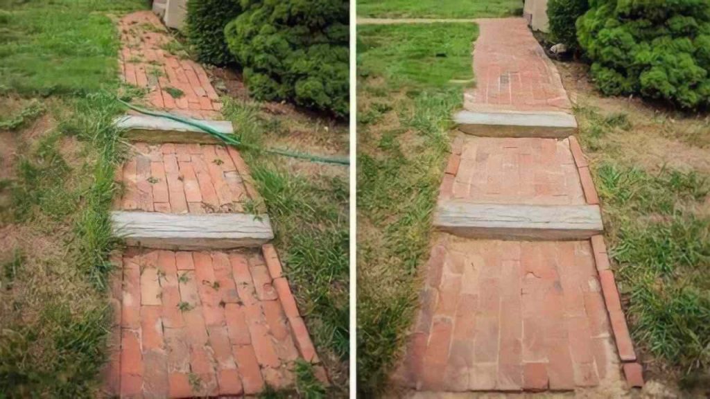 Eficaz y fácil de preparar: este herbicida hace desaparecer cualquier maleza.