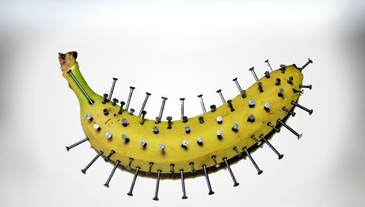 Él clava clavos en un plátano y sorprende con lo que ocurre en solo 10 minutos.