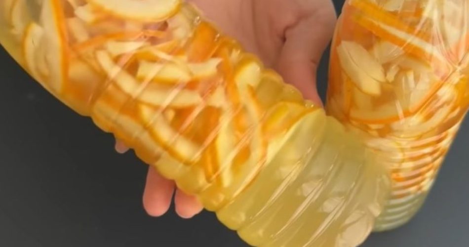 Echo cáscaras de naranja en una botella: ¡las uso para todo! Desde que descubrí este método ya no las tiro.