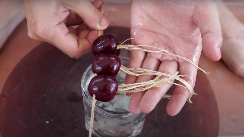 Plantar un cerezo en 20 días con el truco de la piedra agrietada: todo lo que necesita es una semilla