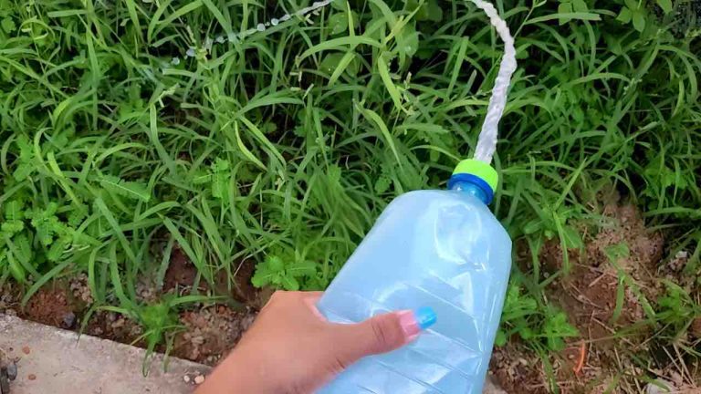 Con 50 céntimos puedes eliminar todas las malas hierbas del huerto y del jardín: así te desharás de ellas