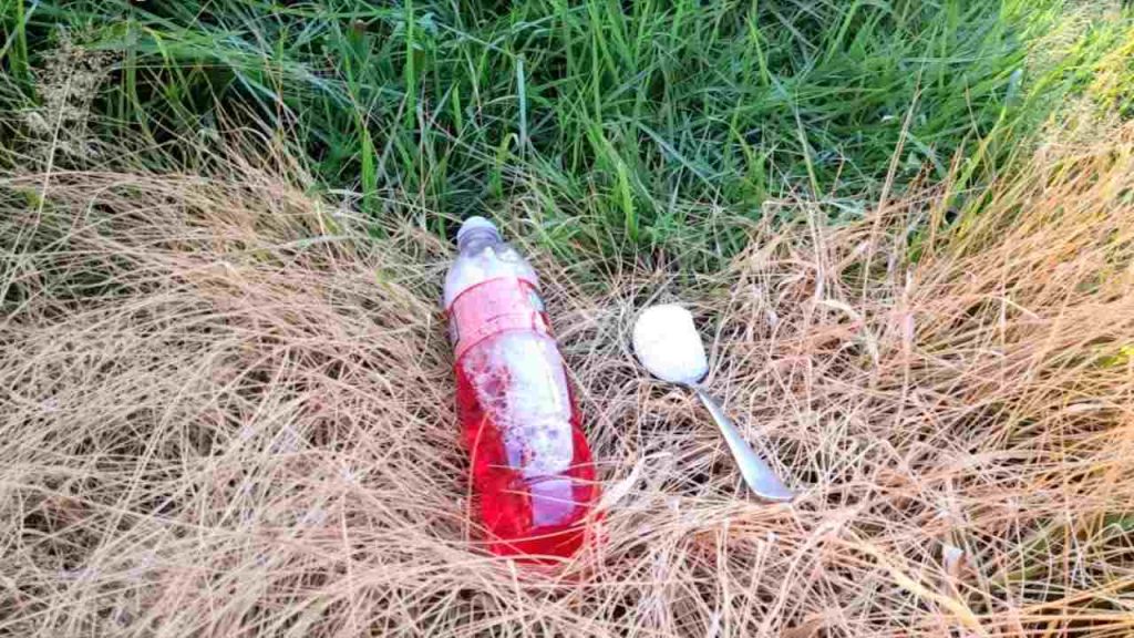 Jardín descuidado: solo con este ingrediente usted puede eliminar todas las malas hierbas y arbustos