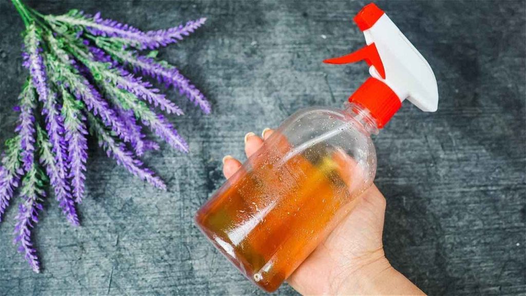 No desperdicie dinero: prepare este repelente natural contra los mosquitos para ahuyentarlos de inmediato.