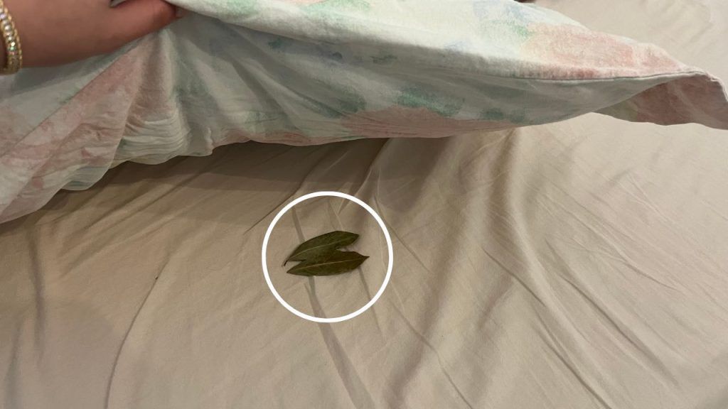 Por qué deberías poner 2 hojas de laurel debajo de tu almohada antes de dormir