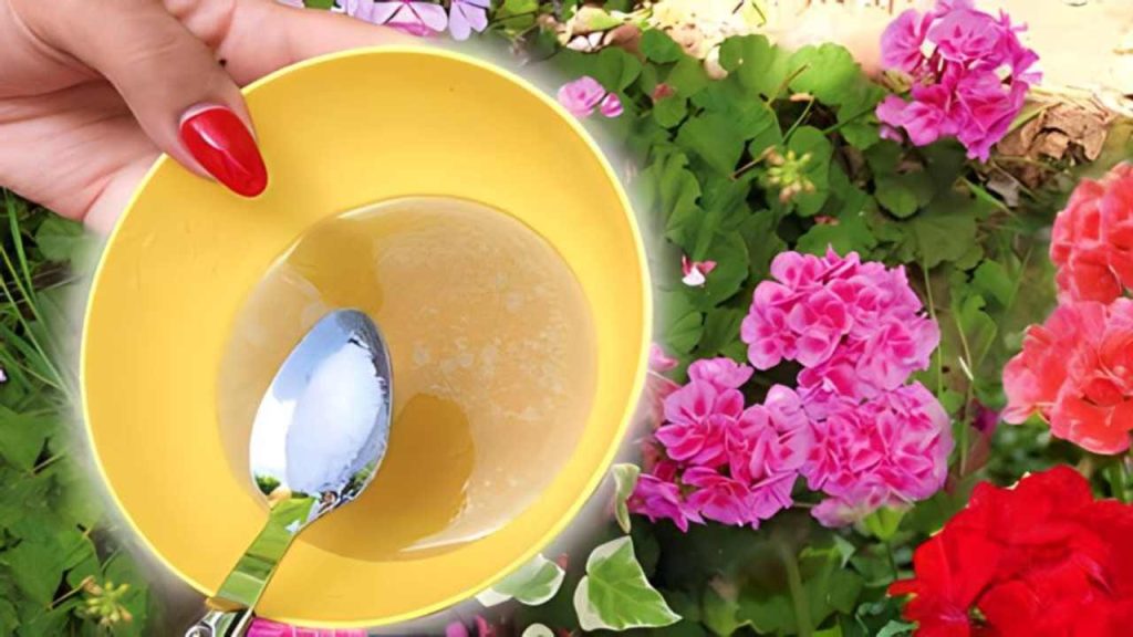 Si desea un jardín por el que los vecinos le envidien, utilice esta mezcla muy potente.