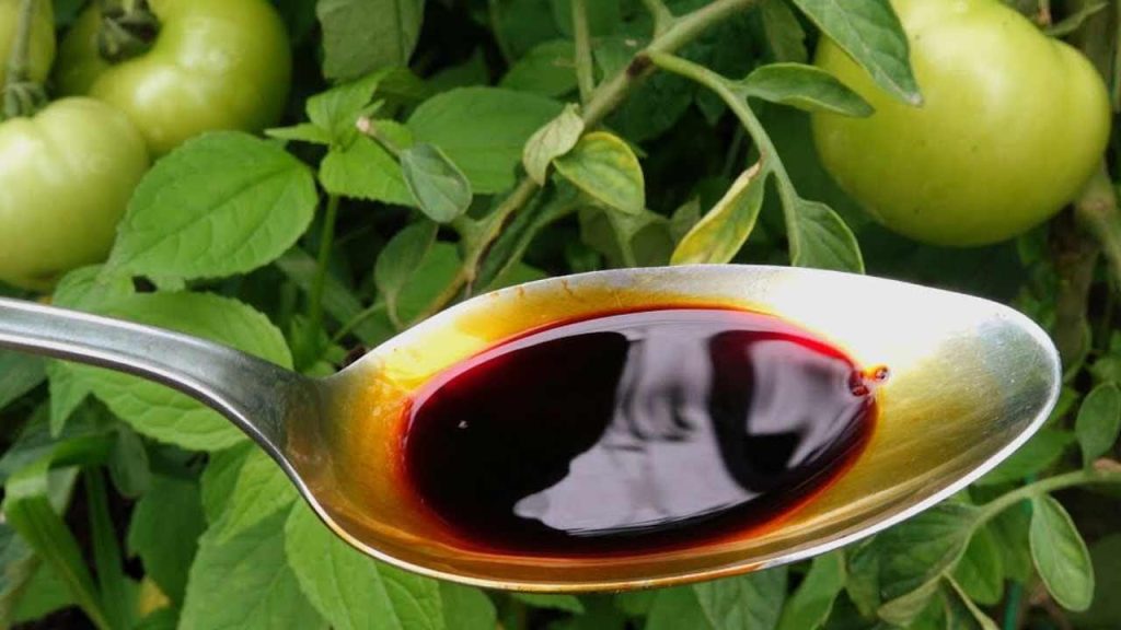 Complemento importante para todas las plantas: tomates, calabacines y pepinos duplicados.