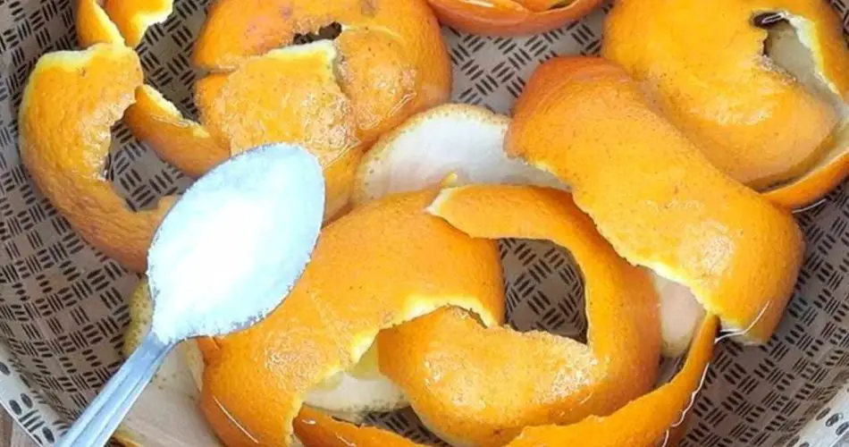 Agregue sal a las cáscaras de naranja y deje de desperdiciar dinero: en el hogar valen oro