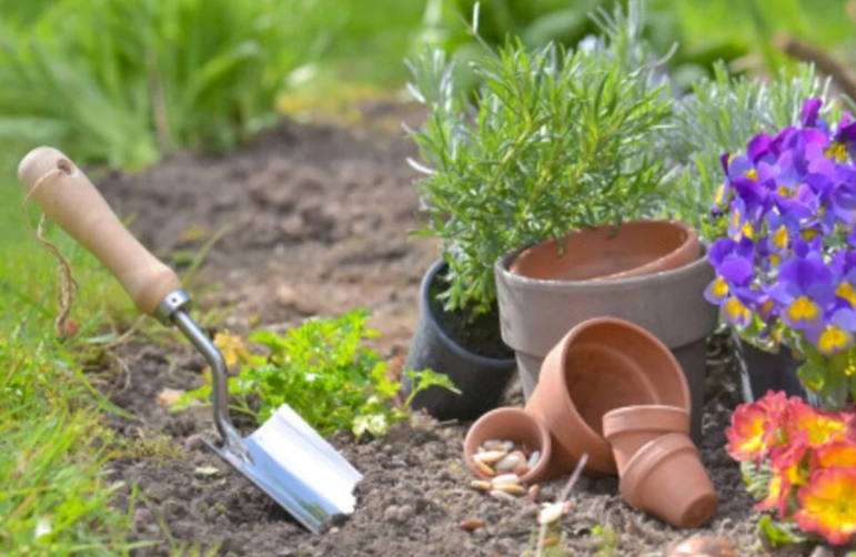 Bicarbonato de sodio en la jardinería: 7 métodos infalibles para el cuidado del verde!