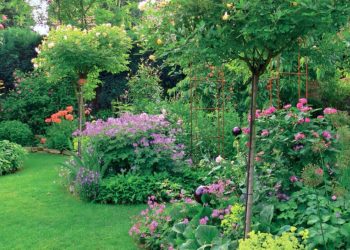 10 consejos de expertos para un jardín exitoso