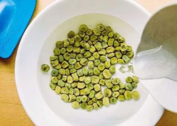 5 buenas razones para remojar las semillas en agua antes de plantarlas