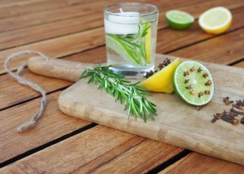 5 plantas naturales y eficaces contra los mosquitos