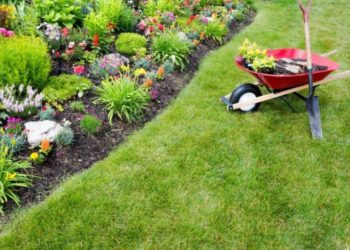 7 secretos para un jardín perfecto
