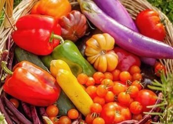 Los 10 errores que debería evitar para tener un huerto bonito
