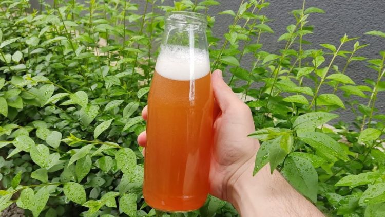 Una taza de este líquido al mes y usted tendrá plantas exuberantes durante todo el año.