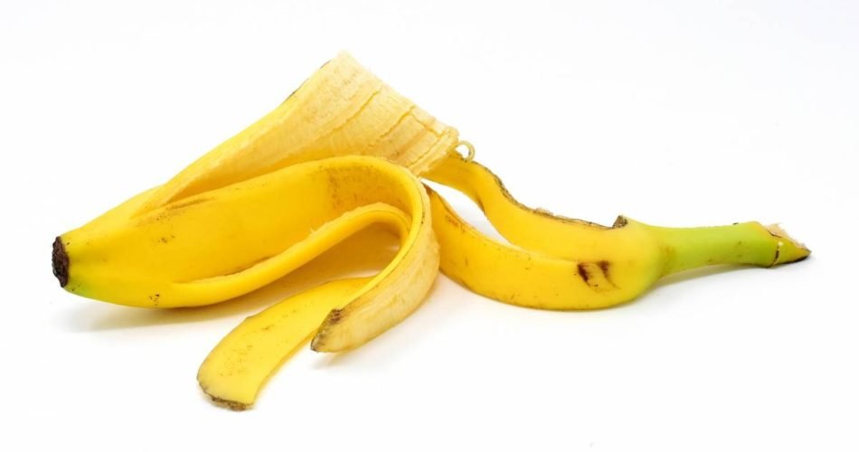 Nutra sus plantas con té de cáscara de plátano: la clave para un jardín floreciente