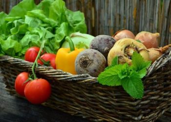 ¡Nunca creerá qué 7 plantas florecen si usted orina sobre ellas!