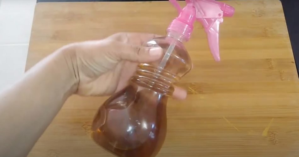 Rocíelo por toda la casa y mantenga alejados a los insectos: nunca volverá a ver uno volando por ahí.