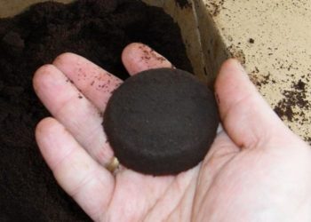¿Por qué reciclar los posos de café en casa?