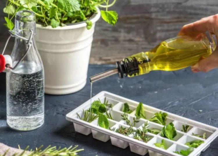 ¿Cómo congelar el perejil fresco y otras hierbas aromáticas? Nuestros métodos sencillos