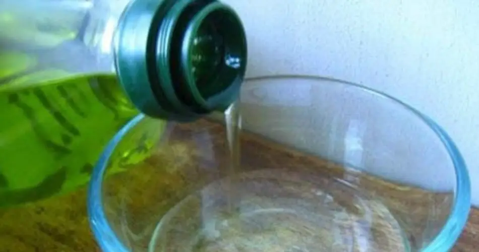 Prepare esto contra los insectos: solo se necesitan unos pocos ingredientes para hacerlos desaparecer.