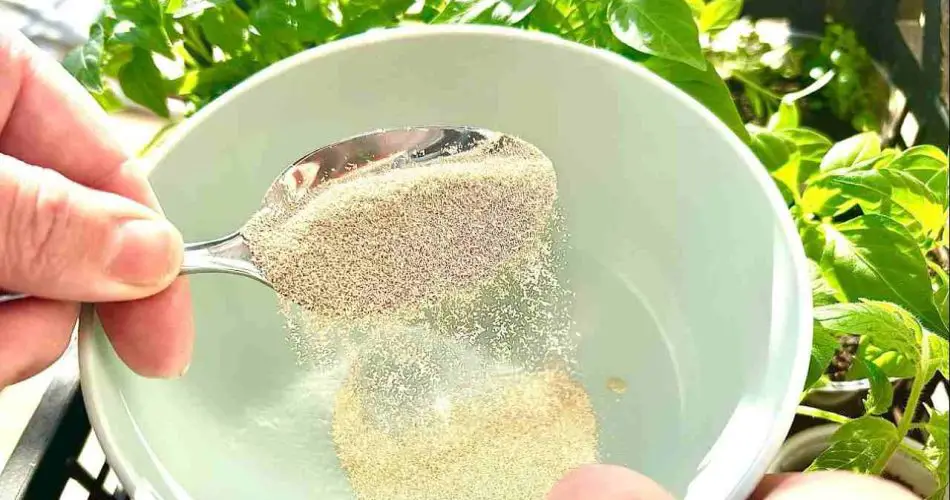 Esto acelera considerablemente el crecimiento de sus plantas en su balcón y jardín.