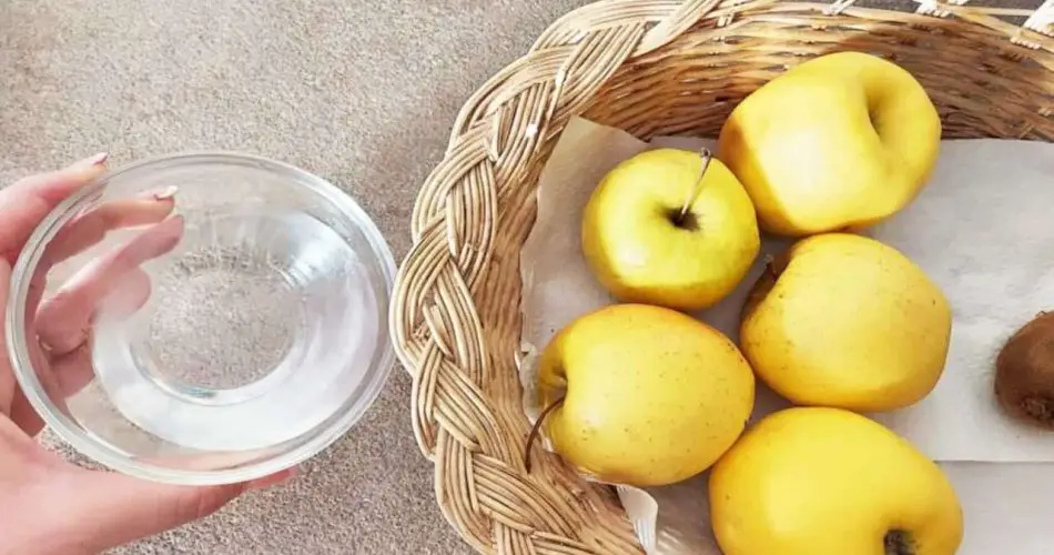 Adiós, moscas de la fruta, con este remedio natural usted las ahuyentará en un abrir y cerrar de ojos